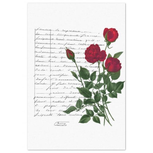 French Handwriting and Red Rose Series Design 18 Tissue Paper