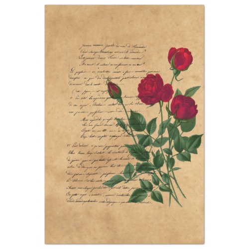 French Handwriting and Red Rose Series Design 2 Tissue Paper