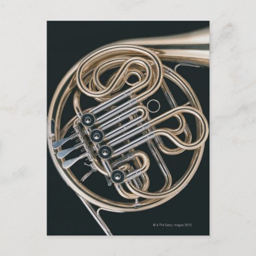 French Horn Postcard