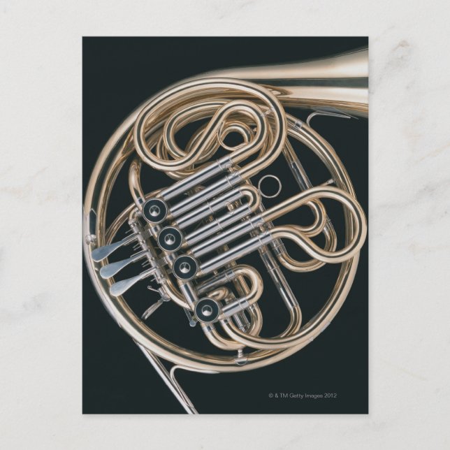 French Horn Postcard (Front)