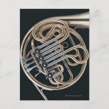 French Horn Postcard by prophoto at Zazzle