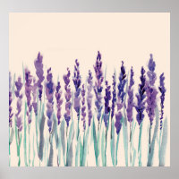 French lavander watercolor