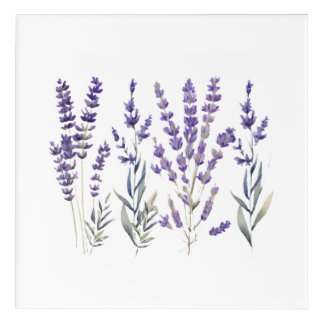 French Lavender Design Acrylic Print