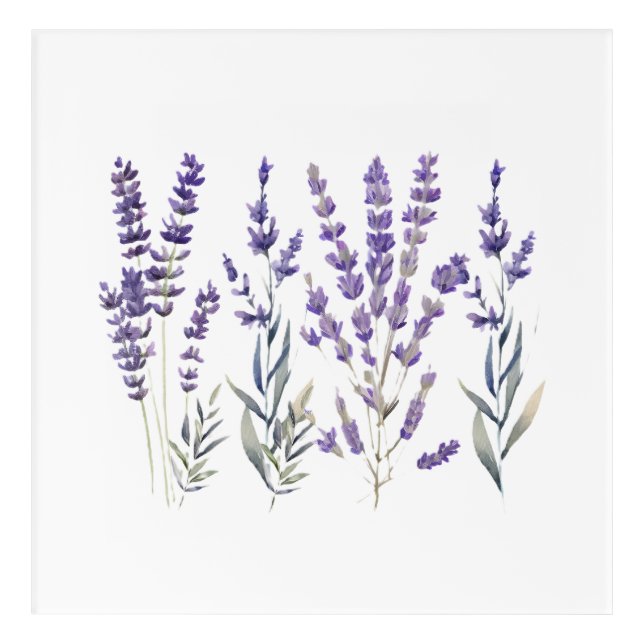 French Lavender Design Acrylic Print (Front)