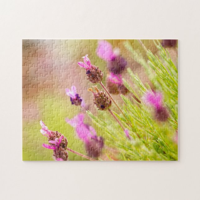 French Lavender Flowers Jigsaw Puzzle  (Horizontal)