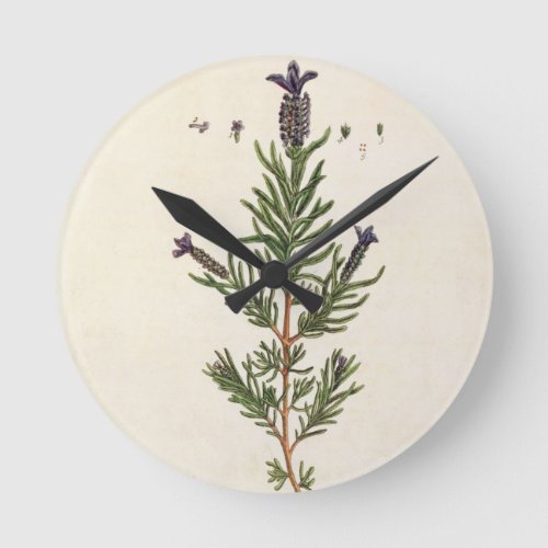 French Lavender plate 241 from A Curious Herbal Round Clock