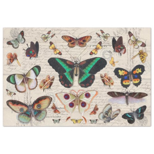 FRENCH LETTER WITH VINTAGE BUTTERFLIES TISSUE PAPER