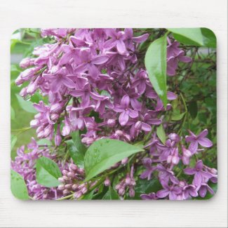 French Lilac on a Rainy Day Mouse Pad