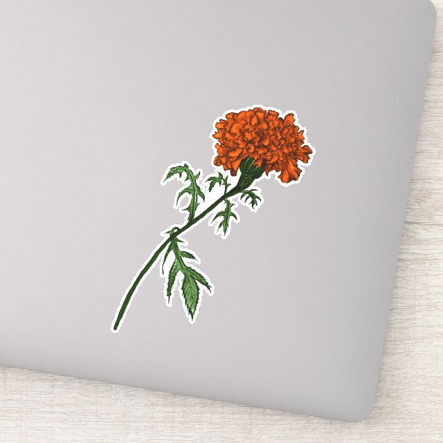 French Marigold Flower Ink Drawing Sticker (Detail)