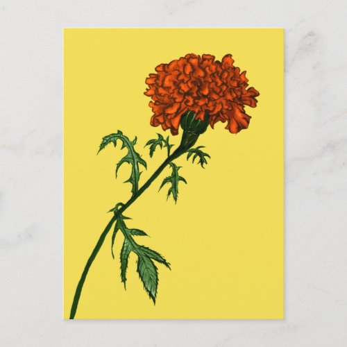 French Marigold Flower Plant Lover Gardener Postcard