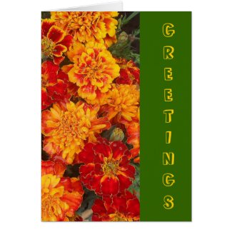 French Marigolds' Greetings Card