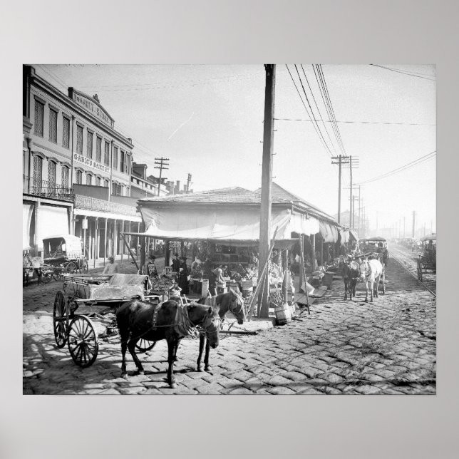 French Market in New Orleans, 1906. Vintage Photo Poster (Front)