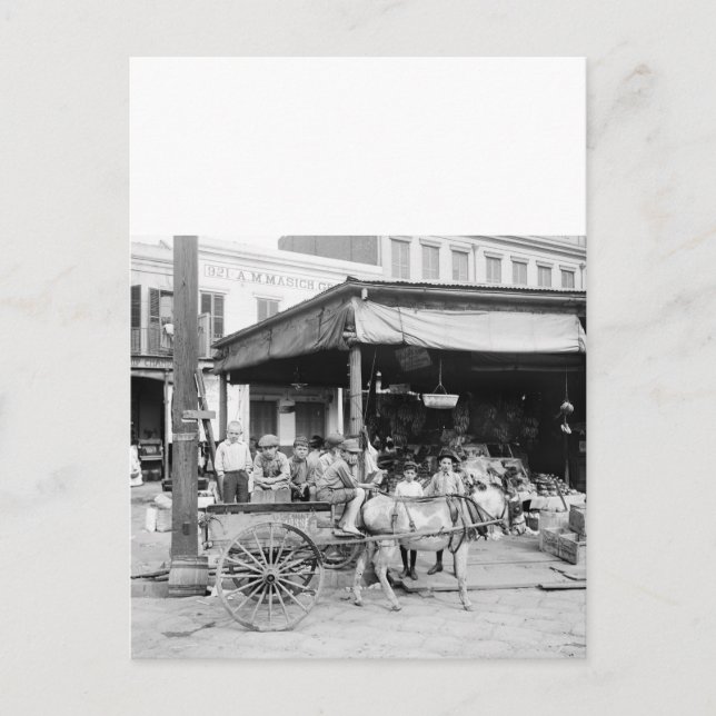 French Market, New Orleans, 1910 Postcard (Front)