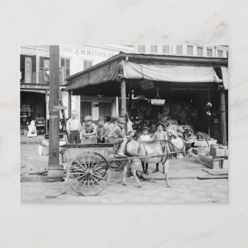 French Market  New Orleans  1910 Postcard by Photoblog at Zazzle