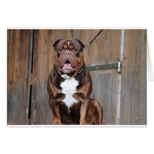 French Mastiff Cards (Front Horizontal)