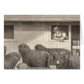 French merino sheep (Front Horizontal)