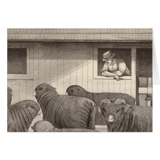 French merino sheep cards (Front Horizontal)
