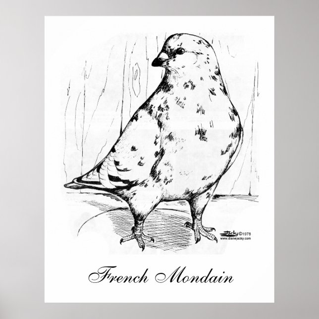 French Mondain Pigeon 1978 Poster (Front)