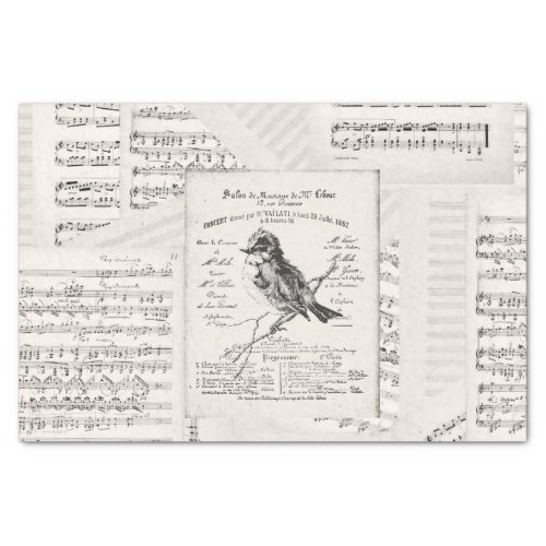 French Music Concert Bird Sheet Music Vintage