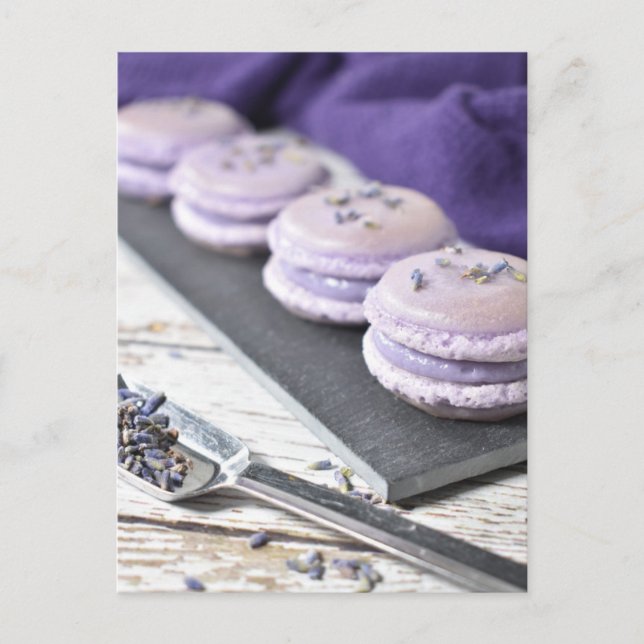 French Pastry Lavender Macaron Cookies Postcard (Front)