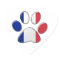 French patriotic cat