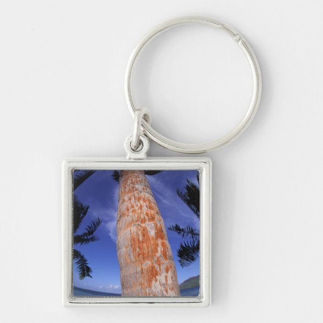 French Polynesia, Bora Bora, Palm trees Keychain (Front)
