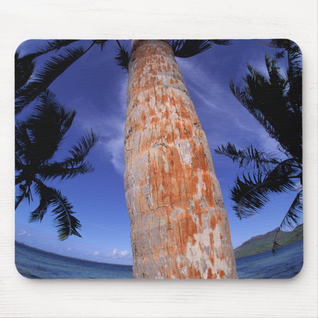 French Polynesia, Bora Bora, Palm trees Mouse Pad (Front)