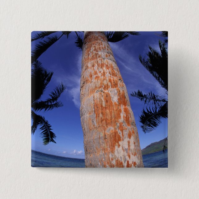 French Polynesia, Bora Bora, Palm trees Pinback Button (Front)