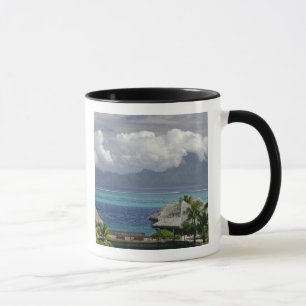 French Polynesia, Moorea. A view of the island Mug