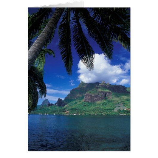 French Polynesia, Moorea. Cooks Bay. Green (Front)