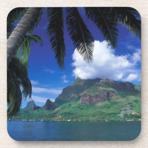 French Polynesia, Moorea. Cooks Bay. Green Beverage Coaster