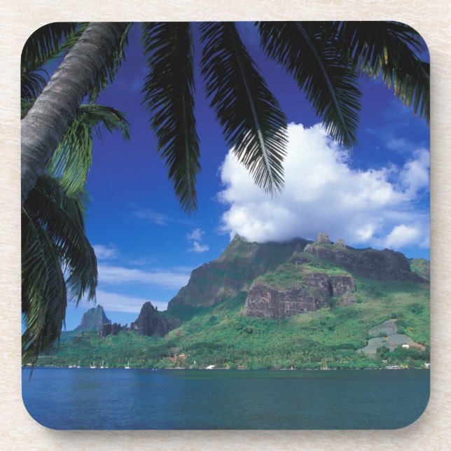 French Polynesia, Moorea. Cooks Bay. Green Beverage Coaster (Front)