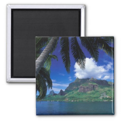 French Polynesia Moorea Cooks Bay Green Magnet