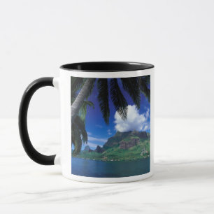French Polynesia, Moorea. Cooks Bay. Green Mug