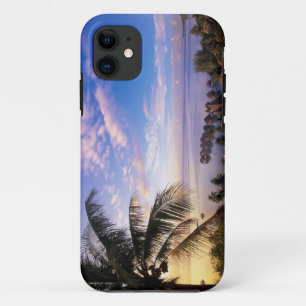 French Polynesia, Moorea. View of the Baie de iPhone 11 Case