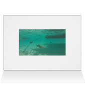 French Polynesia snorkel Cards (Inside Horizontal (Top))