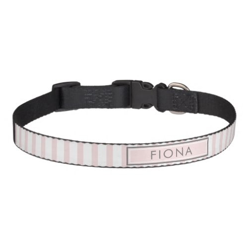 French Poodle Personalized Dog Collar