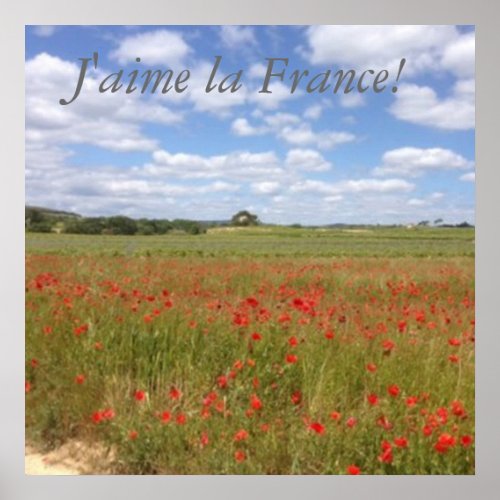 French Poppies in Southern France Poster