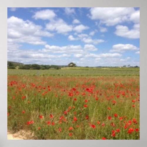 French Poppies Poster