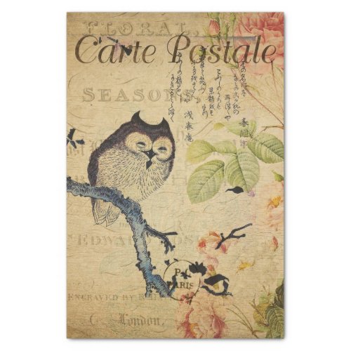 French Postcard Ephemera Owl Pink Roses Decoupage  Tissue Paper