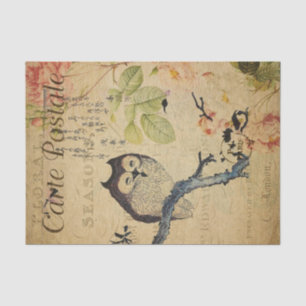 French Postcard Ephemera Owl Pink Roses Decoupage  Tissue Paper