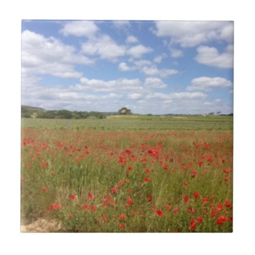 French Red Poppies and Blue Sky Ceramic Tile
