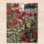 French Red Roses Jigsaw Puzzle<br><div class="desc">This jigsaw puzzle is decorated with a photograph taken in France. It shows climbing red roses in the sunlight,  almost obscuring a shuttered window.</div>