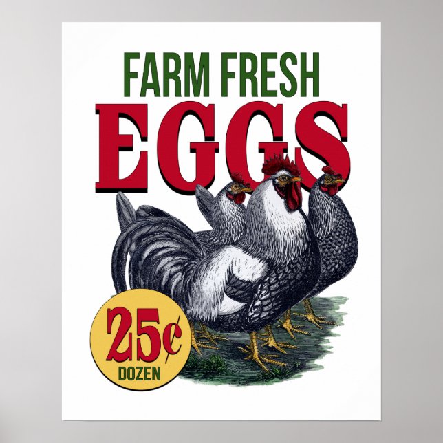 French Rooster Farm Fresh Eggs Advertisement Print (Front)