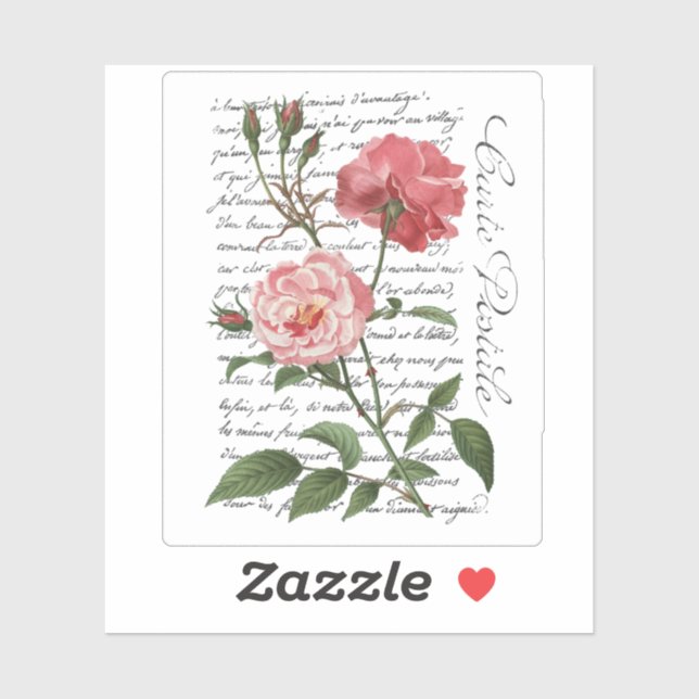 French Rose Carte Postale Vintage Script Sticker (Sheet)