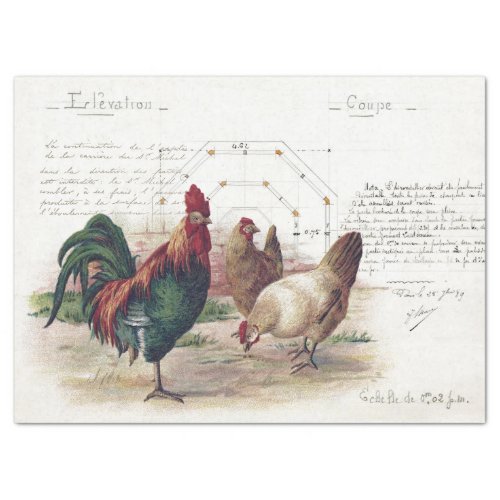 French Script Hen Chicken Farmhouse Decoupage  Tissue Paper
