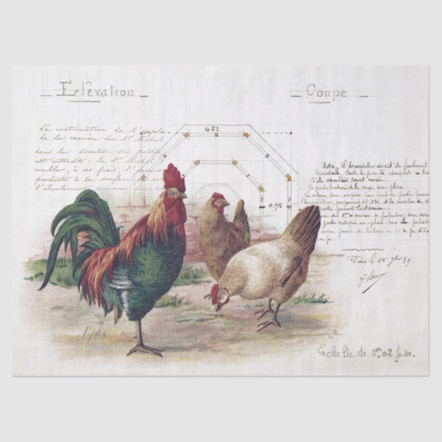 French Script Hen Chicken Farmhouse Decoupage  Tissue Paper (Front)