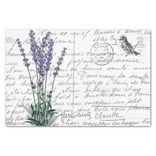 French Script Lavender Vintage Bird Postcard Tissue Paper