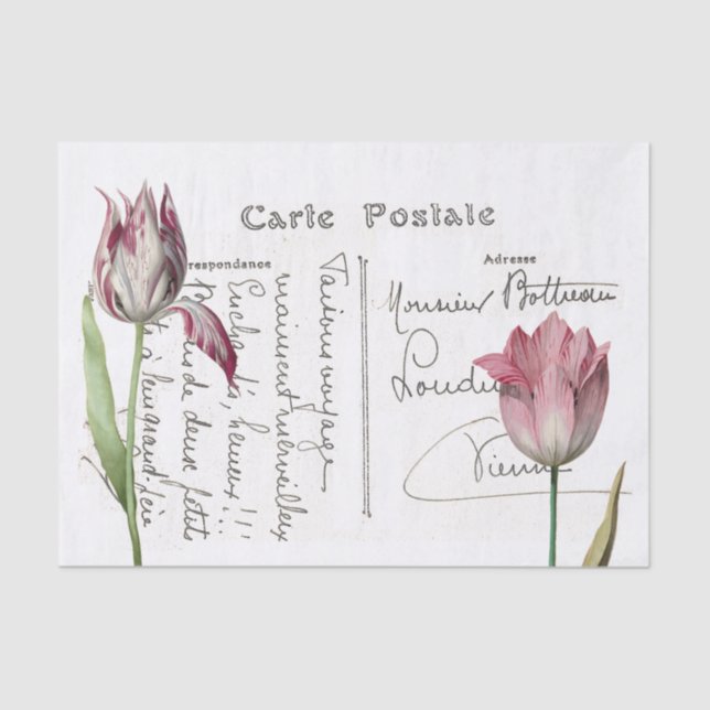 French Script Postcard Pink Tulip Flower Decoupage Tissue Paper (Front)