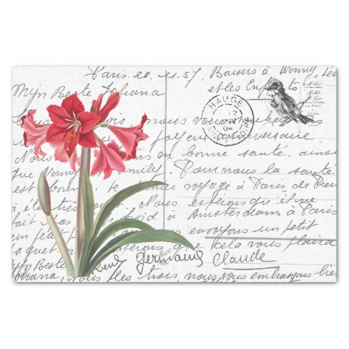 French Script Vintage Amaryllis Bird Postcard Tissue Paper